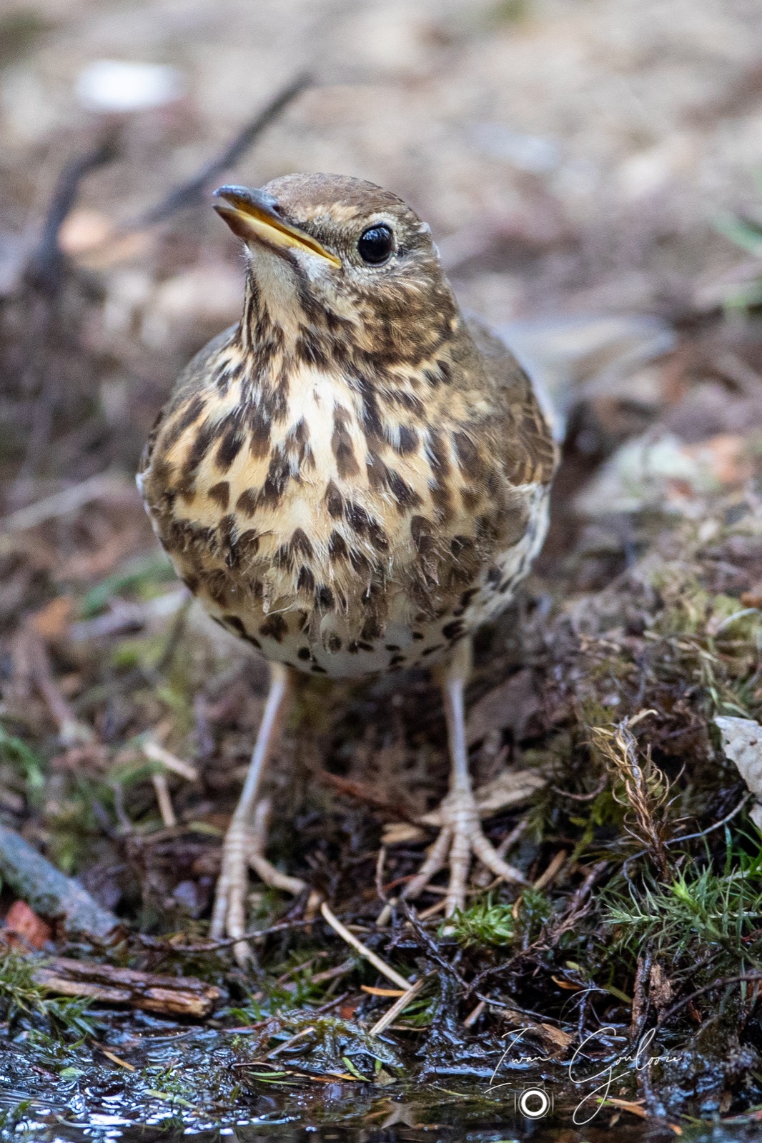 08 mei 2022 184349 1DX42898